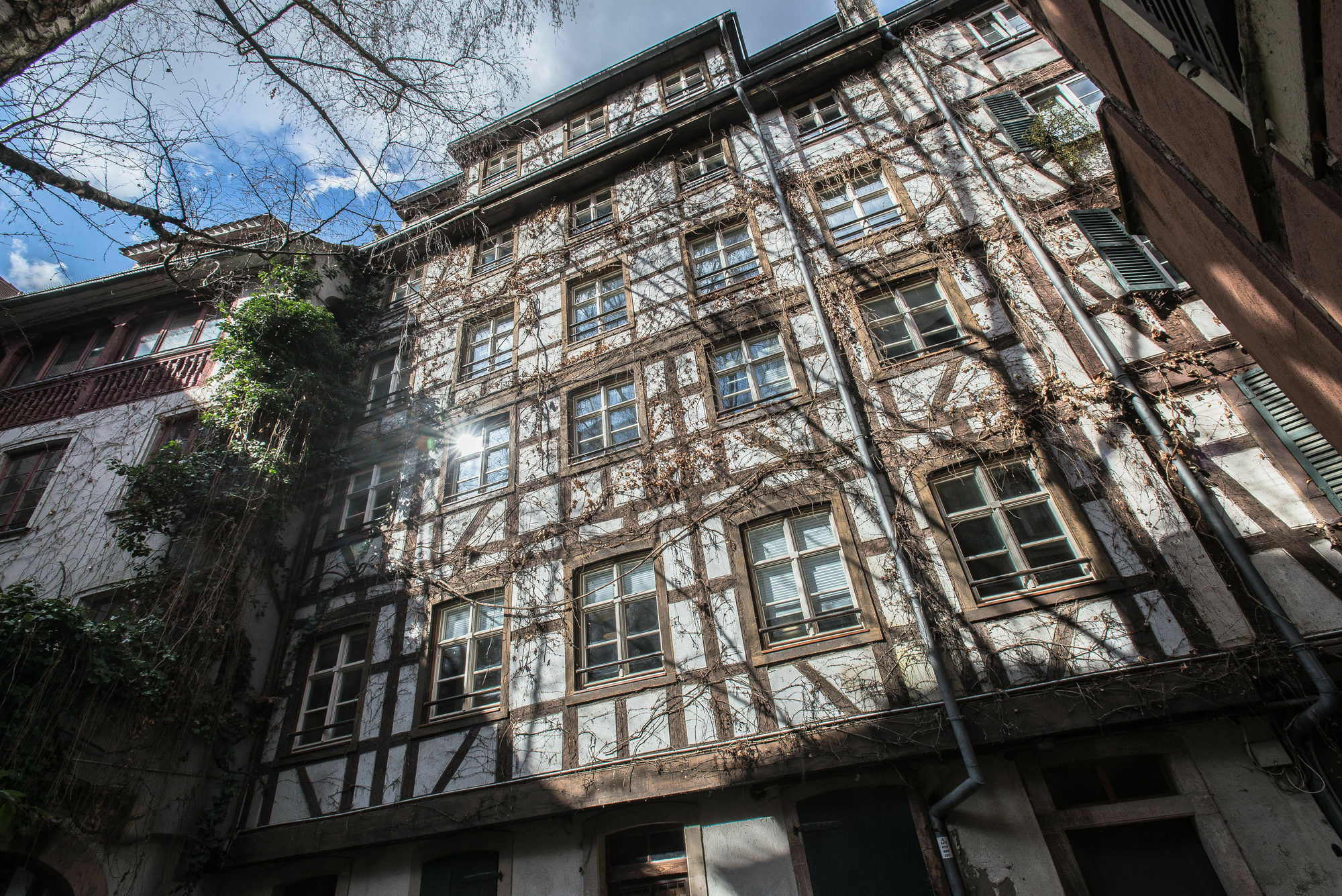 Appartement Des Moulins Strasbourg Bagian luar foto